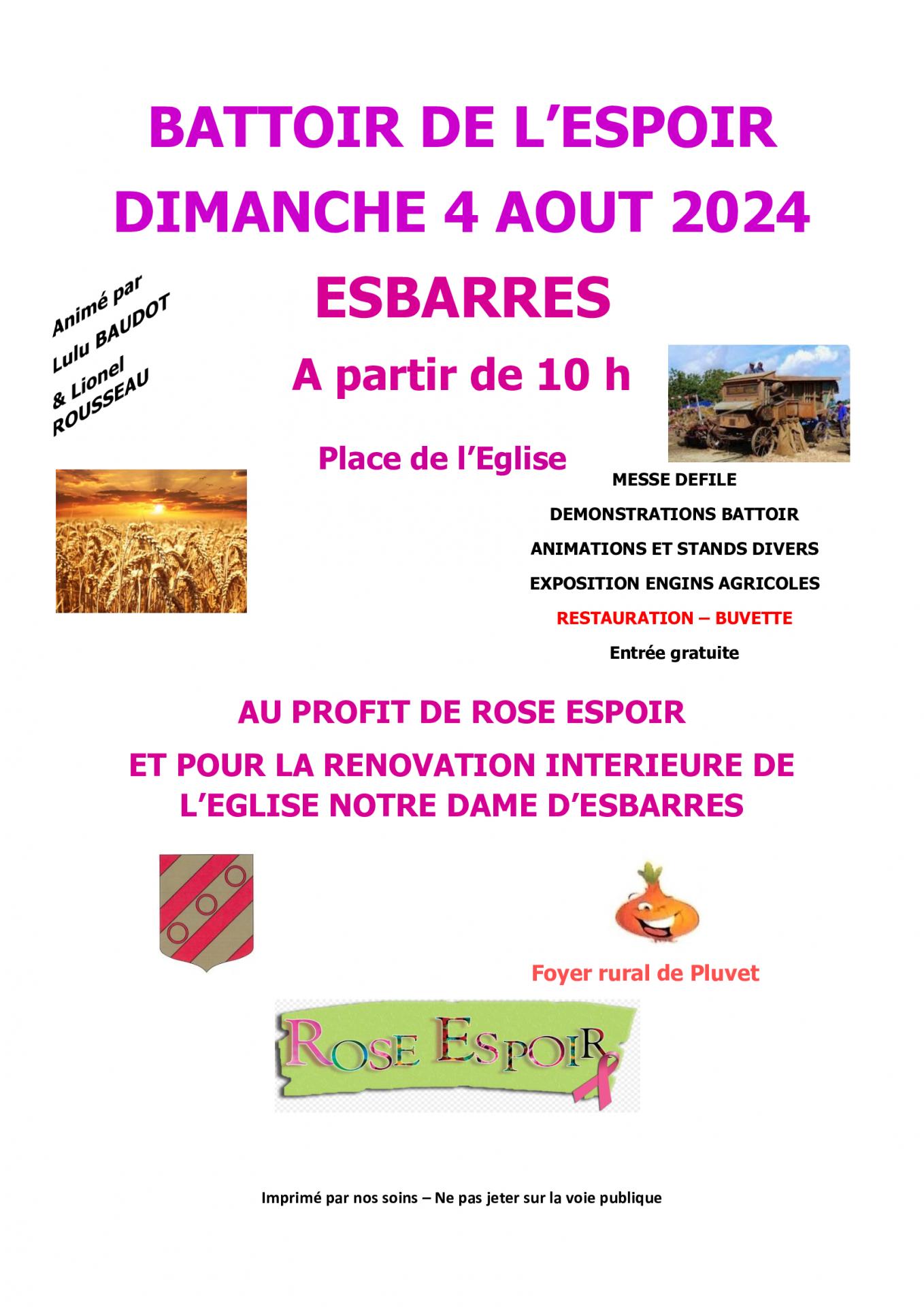 affiche battoirs de l'espoirt