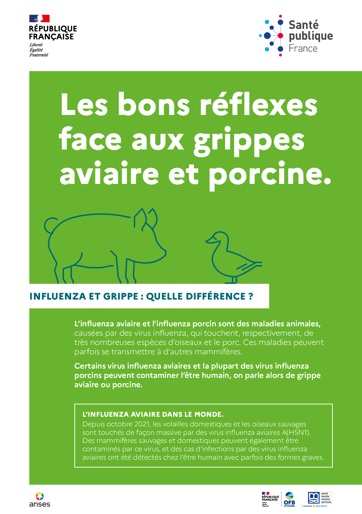les bons réflexes face à la grippe aviaire et porcine